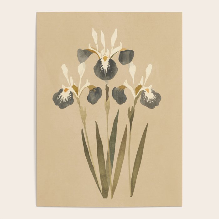 Irises 2 Poster Gallery Image 4