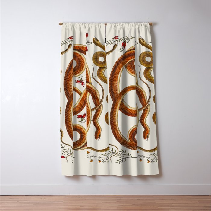 Albertus Seba Snakes Flowers Engraving ii Window Curtain Gallery Image 3