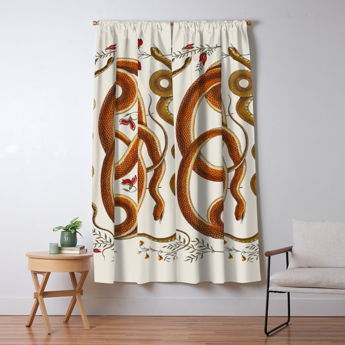 Albertus Seba Snakes Flowers Engraving ii Window Curtain Gallery Image 5