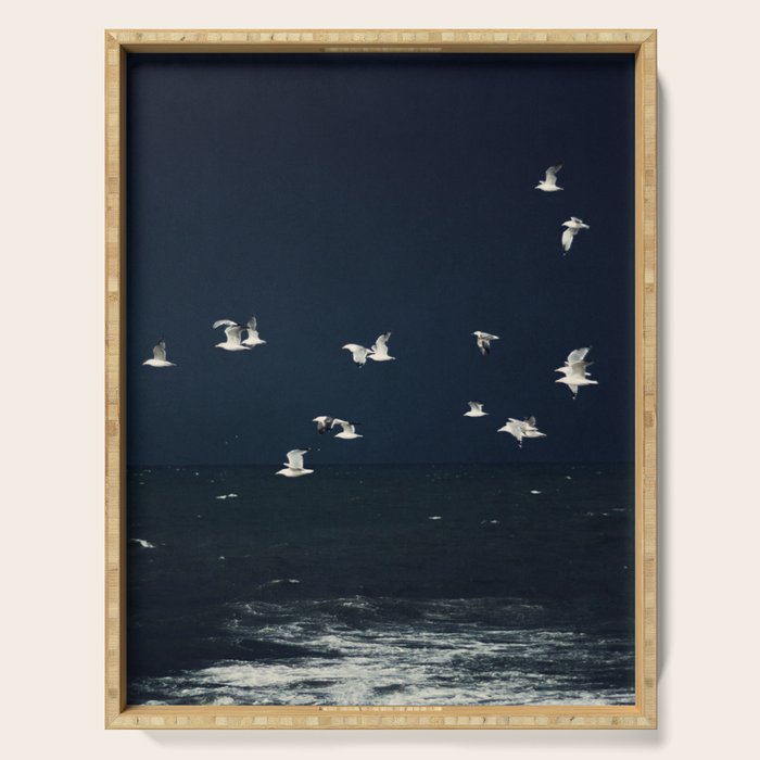 Birds in Flight - Dark Blue Sea - Ocean Print - Travel photography Serving Tray Gallery Image 1