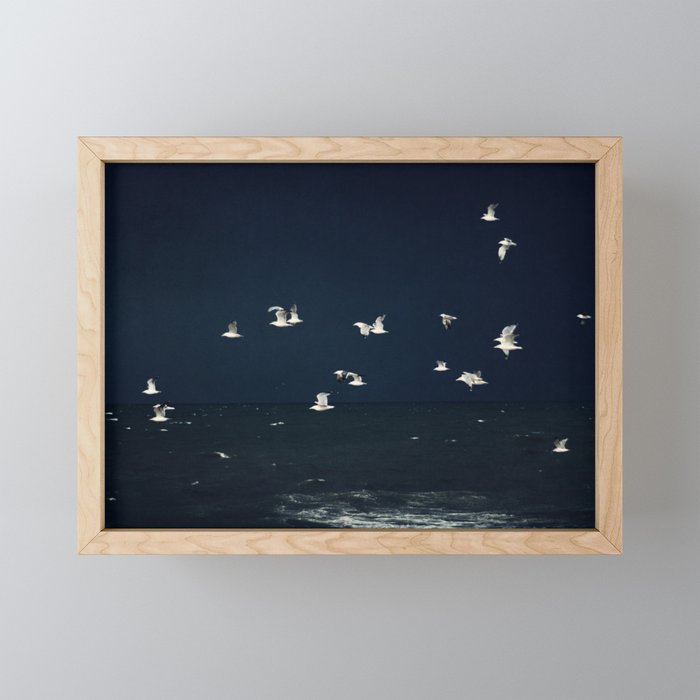 Birds in Flight - Dark Blue Sea - Ocean Print - Travel photography Mini Art Print Gallery Image 1