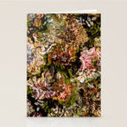 Cashmere Pattern Stationery Card Gallery Image 2