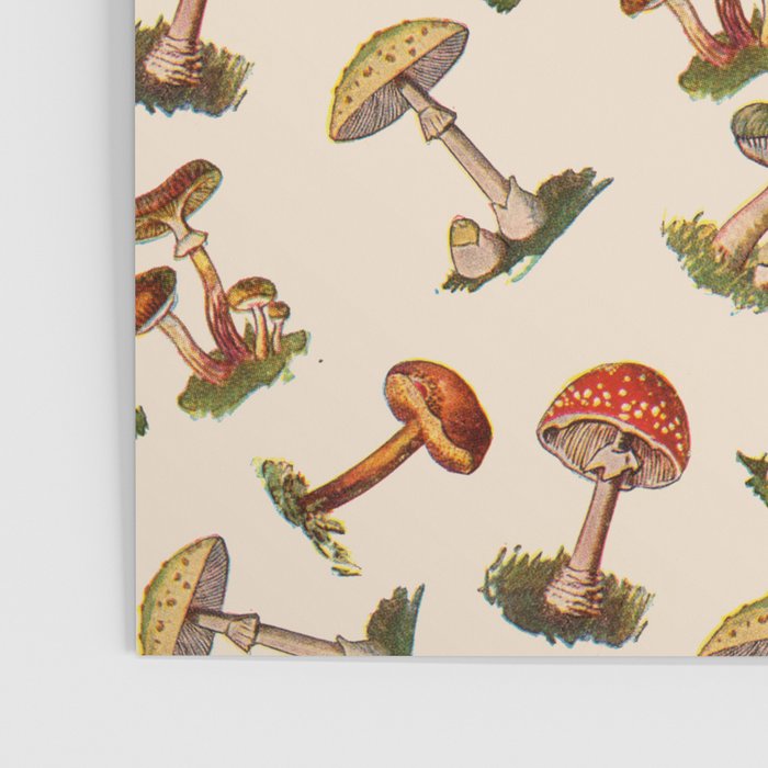 Magical Mushrooms Poster Gallery Image 3