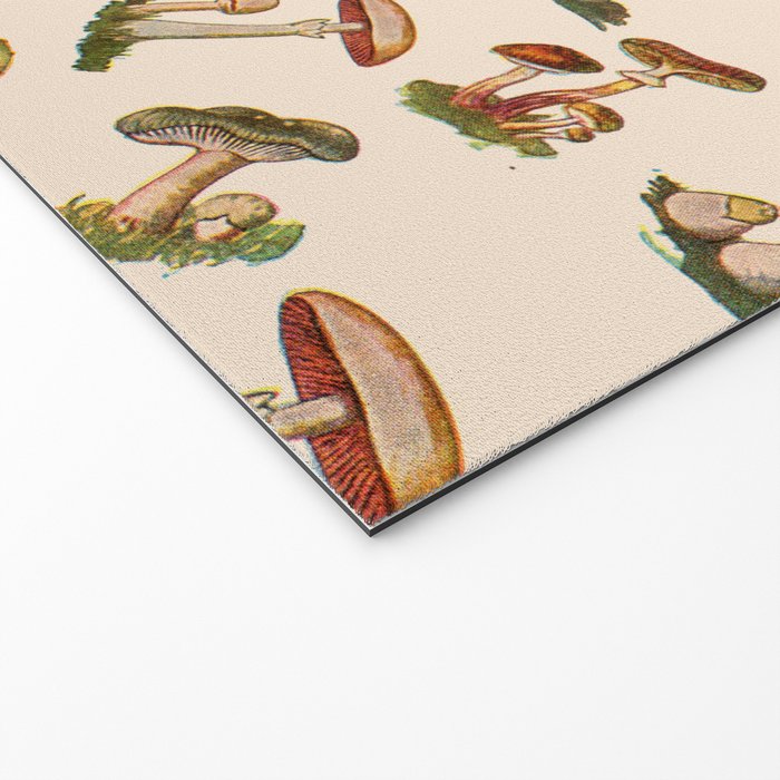 Magical Mushrooms Welcome Mat Gallery Image 2