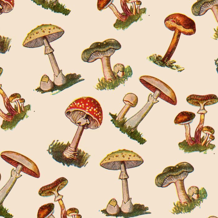 Magical Mushrooms Coffee Mug Gallery Image 2