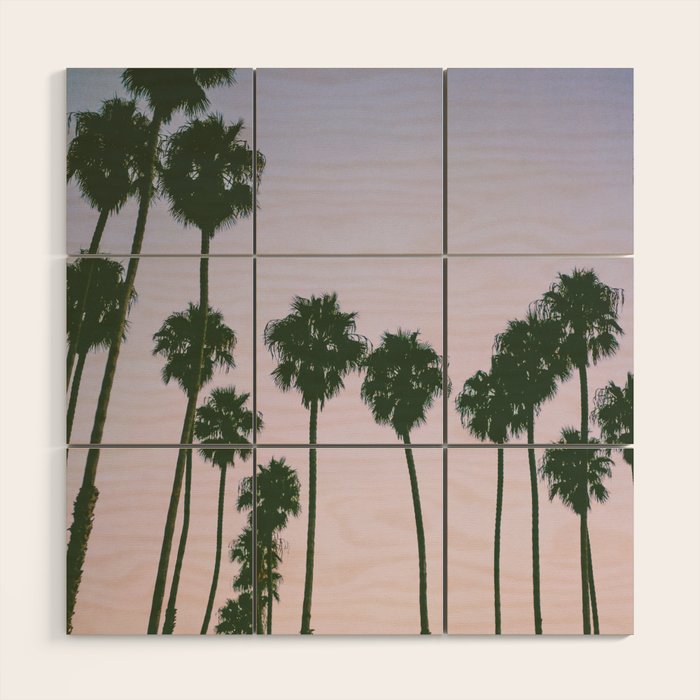 palm trees sunset iii Wood Wall Art Gallery Image 1