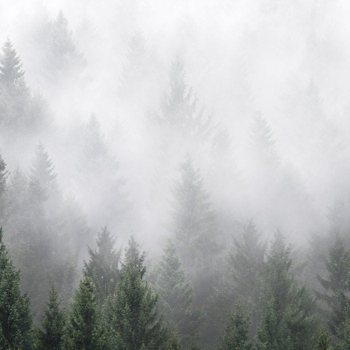 Home Is A Feeling Coffee Mug Gallery Image 2