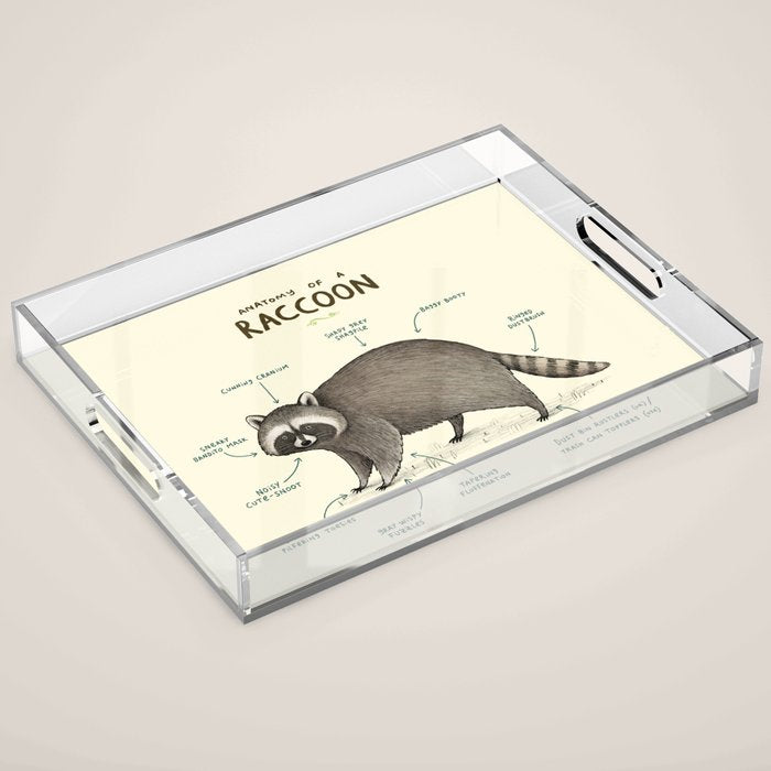 Anatomy of a Raccoon Acrylic Tray Gallery Image 1