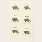 Anatomy of a Raccoon Wallpaper Gallery Image 2