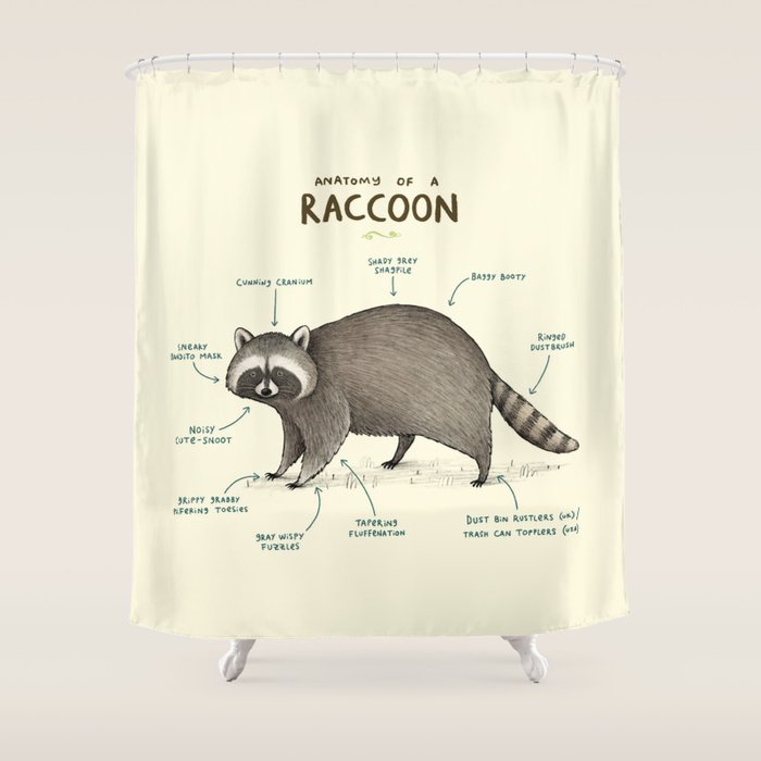 Anatomy of a Raccoon Shower Curtain Gallery Image 1
