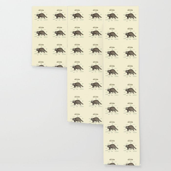 Anatomy of a Raccoon Wallpaper Gallery Image 3