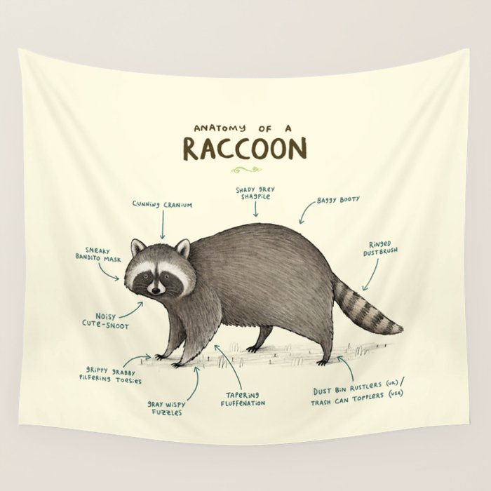 Anatomy of a Raccoon Wall Tapestry Gallery Image 4
