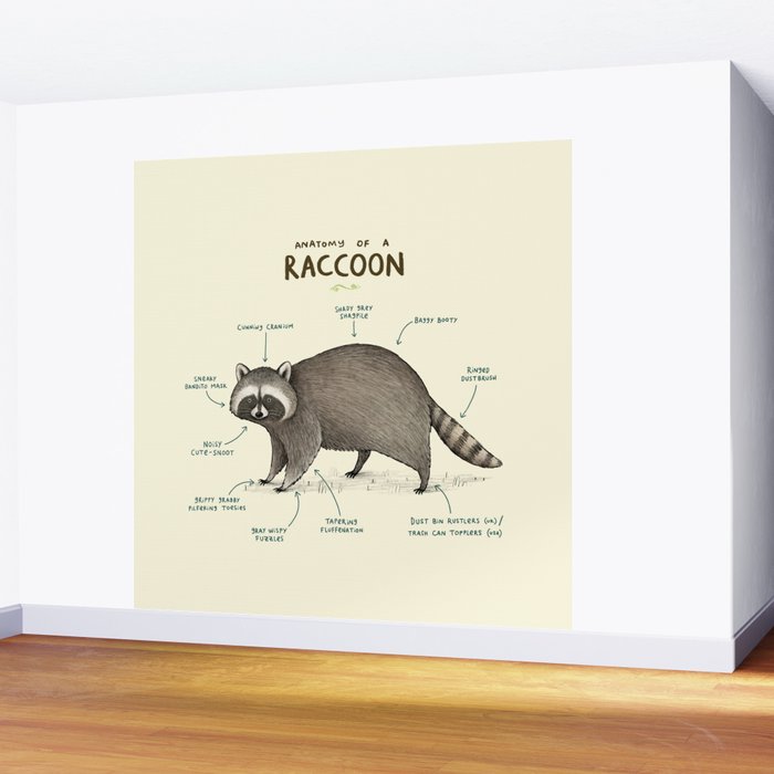 Anatomy of a Raccoon Wall Mural Gallery Image 2