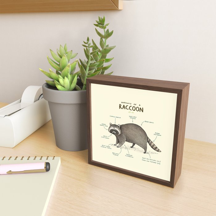 Anatomy of a Raccoon Mini Art Print Gallery Image 2