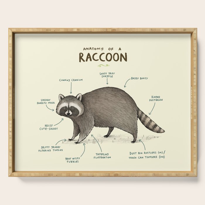 Anatomy of a Raccoon Serving Tray Gallery Image 1