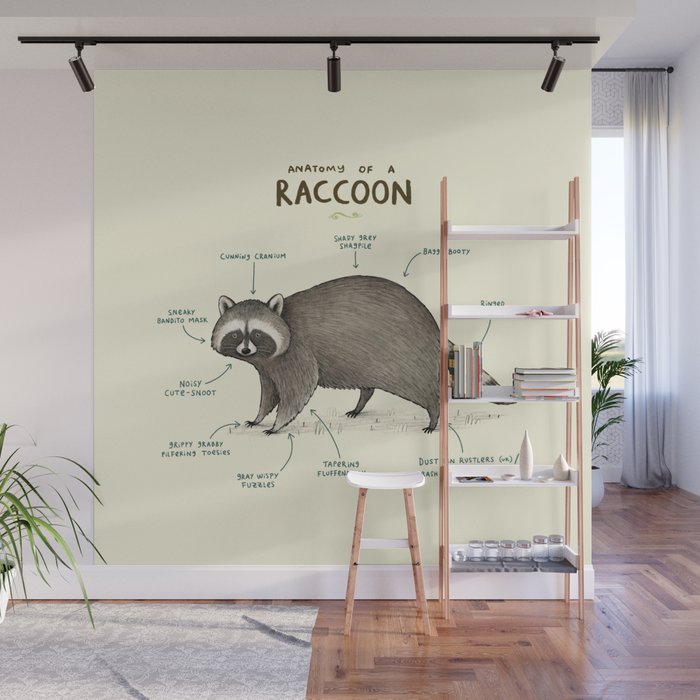Anatomy of a Raccoon Wall Mural Gallery Image 1