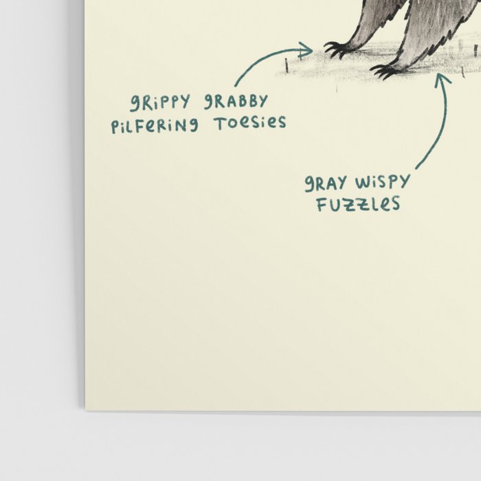 Anatomy of a Raccoon Poster Gallery Image 3