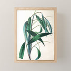 The Weeping Willow, from "The Spirit of the Woods," 1849 (benefiting the Arbor Day Foundation) Mini Art Print Gallery Image 1
