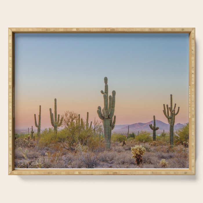 Desert / Scottsdale, Arizona Serving Tray Gallery Image 1