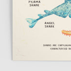 FANTASTIC SHARKS Poster Gallery Image 3