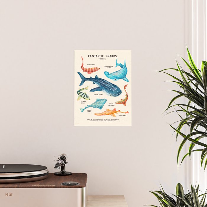 FANTASTIC SHARKS Poster Gallery Image 2