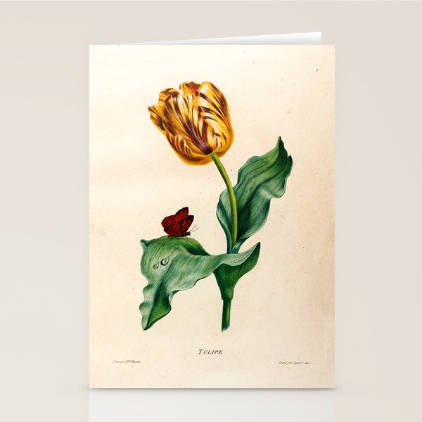 Tulip by Henriette Antoinette Vincent (Madame Vincent), 1820 Stationery Card Gallery Image 2