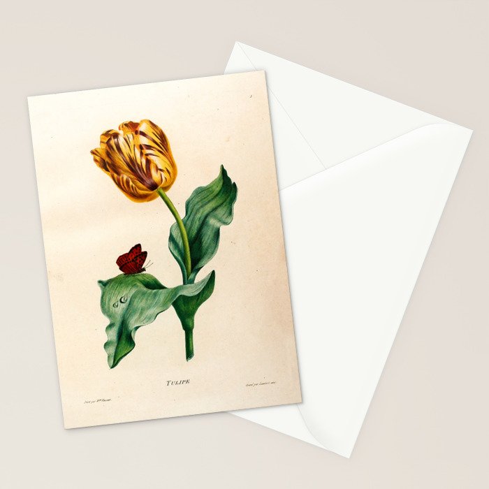 Tulip by Henriette Antoinette Vincent (Madame Vincent), 1820 Stationery Card Gallery Image 2