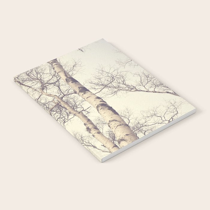 Winter Birch Trees - Scandinavian decor nature photograph Notebook Gallery Image 1