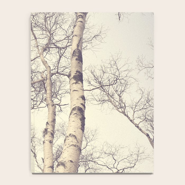 Winter Birch Trees - Scandinavian decor nature photograph Notebook Gallery Image 4