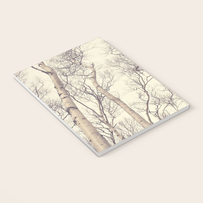 Winter Birch Trees - Scandinavian decor nature photograph Notebook Gallery Image 3