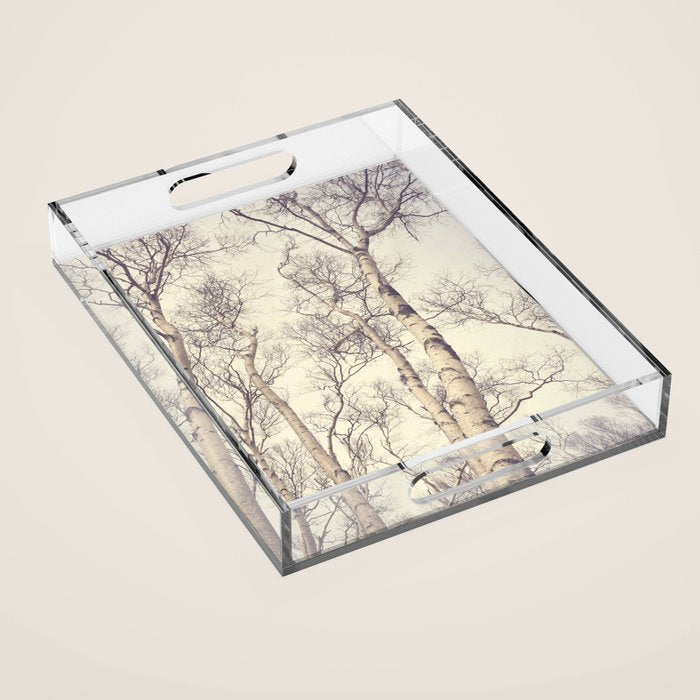 Winter Birch Trees - Scandinavian decor nature photograph Acrylic Tray Gallery Image 1