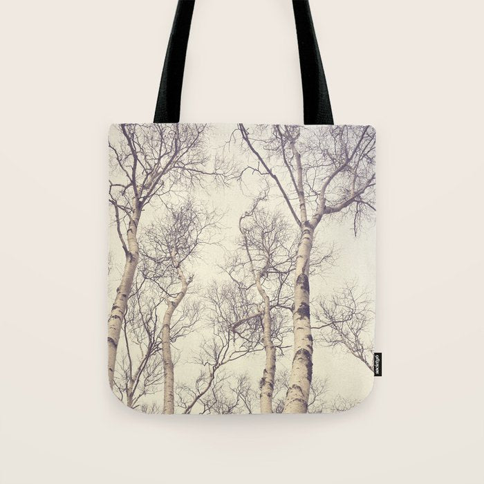 Winter Birch Trees - Scandinavian decor nature photograph Tote Bag Gallery Image 1