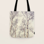 Winter Birch Trees - Scandinavian decor nature photograph Tote Bag Gallery Image 1