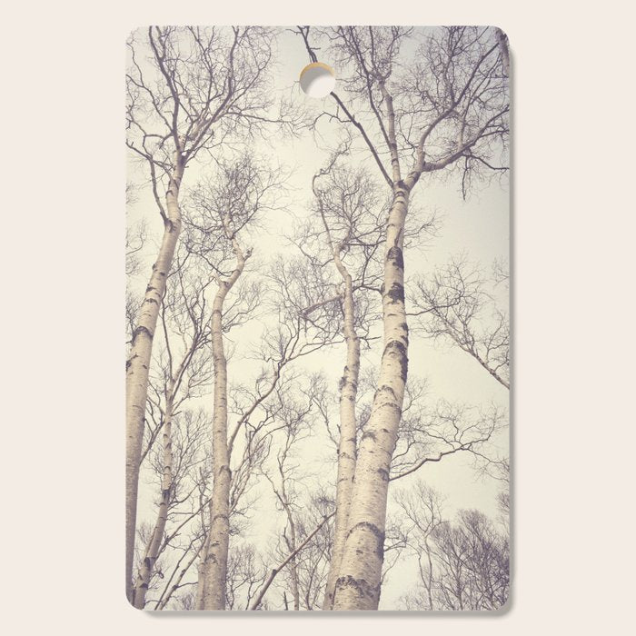 Winter Birch Trees - Scandinavian decor nature photograph Cutting Board Gallery Image 1