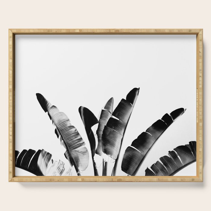 Traveler palm - bw Serving Tray Gallery Image 1