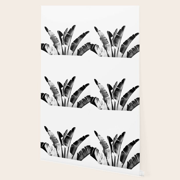 Traveler palm - bw Wallpaper Gallery Image 2
