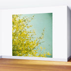 Morning Light Wall Mural Gallery Image 2