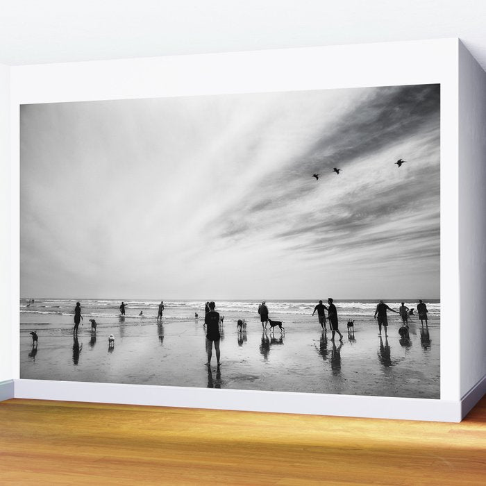 Dog Beach Wall Mural Gallery Image 2