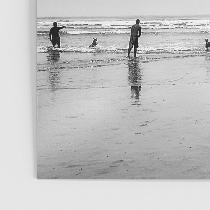 Dog Beach Poster Gallery Image 3