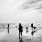 Dog Beach Coffee Mug Gallery Image 2