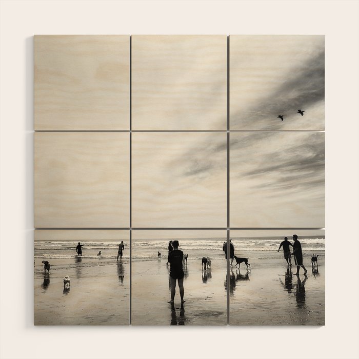 Dog Beach Wood Wall Art Gallery Image 1