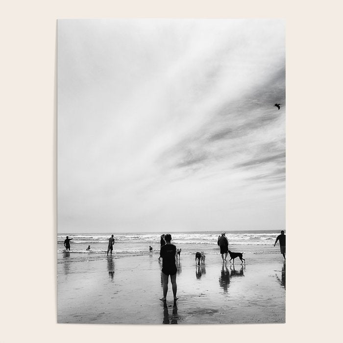 Dog Beach Poster Gallery Image 1