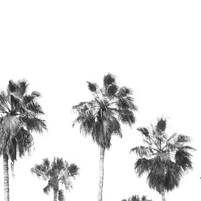 Palm Trees Coffee Mug Gallery Image 2
