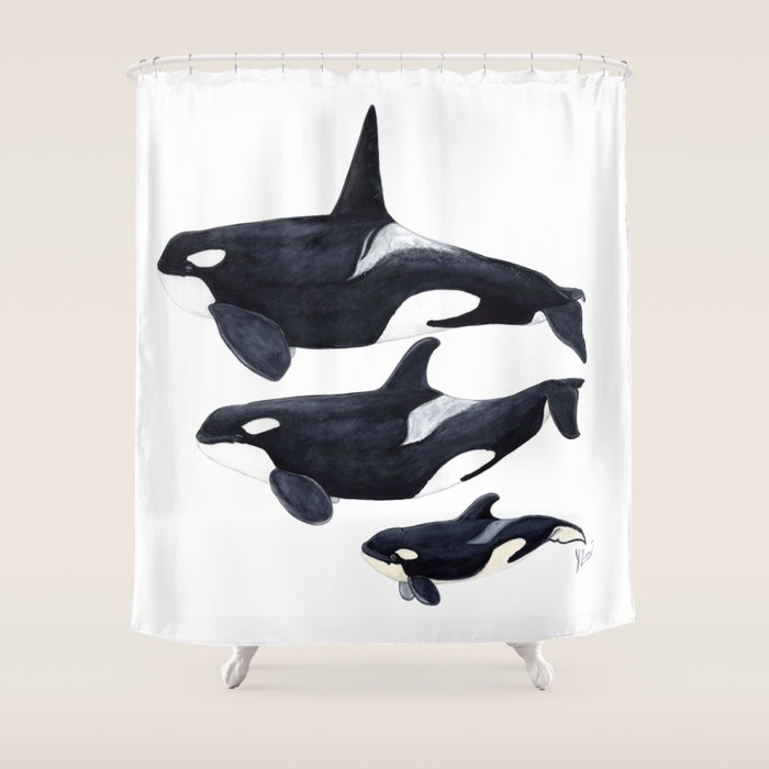 Orca (Orcinus orca) Shower Curtain Gallery Image 1