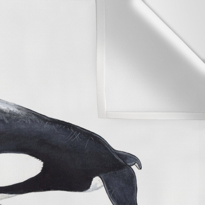 Orca (Orcinus orca) Wall Tapestry Gallery Image 3