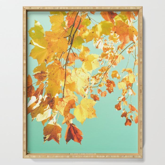 Yellow Leaves - autumn fall color nature photograph Serving Tray Gallery Image 1