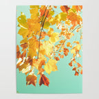 Yellow Leaves - autumn fall color nature photograph Poster Gallery Image 4
