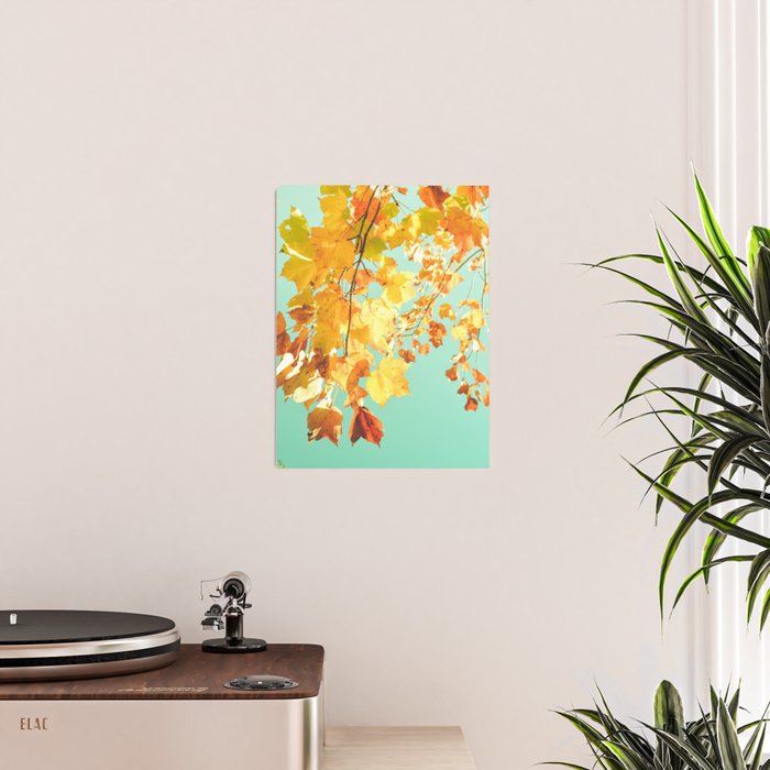 Yellow Leaves - autumn fall color nature photograph Poster Gallery Image 2