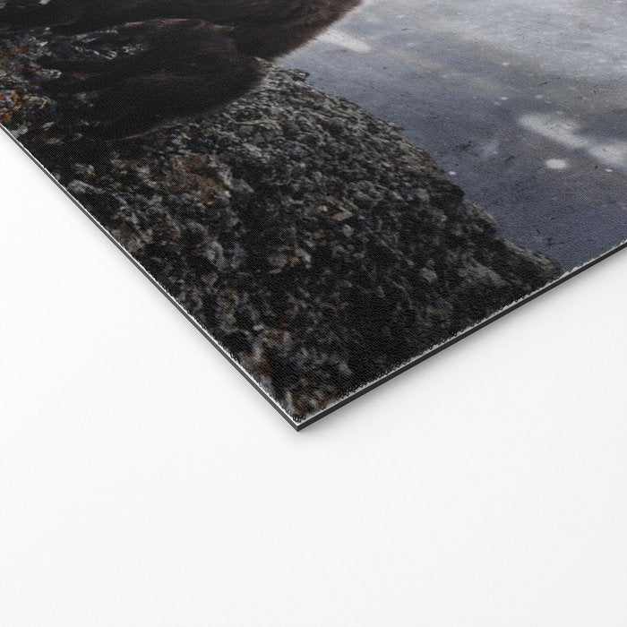 Ursa Major Welcome Mat Gallery Image 2