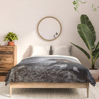 Ursa Major Comforter Gallery Image 3